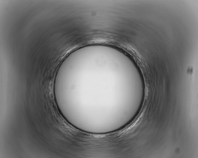 X0000100201353200805300738