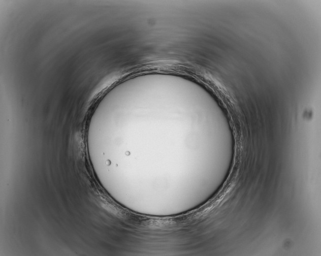 X0000100201354200805300738