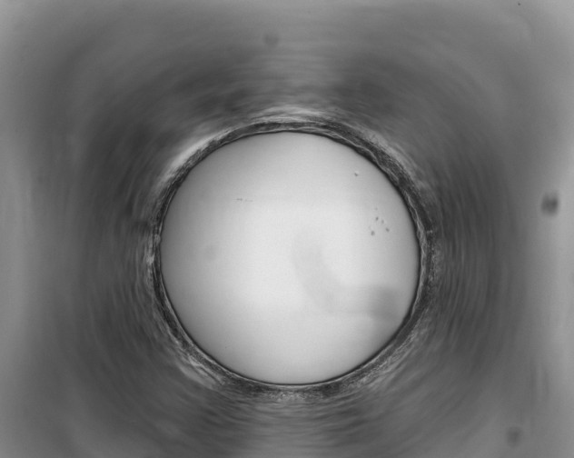 X0000100201355200805300738