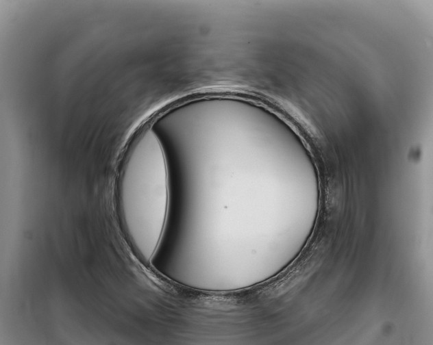 X0000100201356200805300738