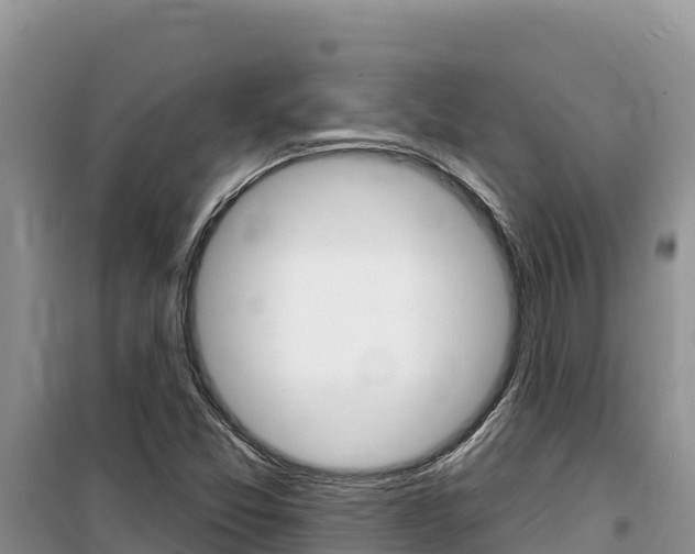 X0000100201357200805300738