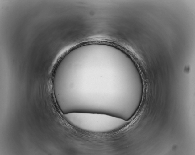 X0000100201358200805300738