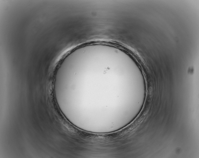 X0000100201359200805300738