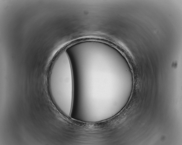 X0000100201360200805300738