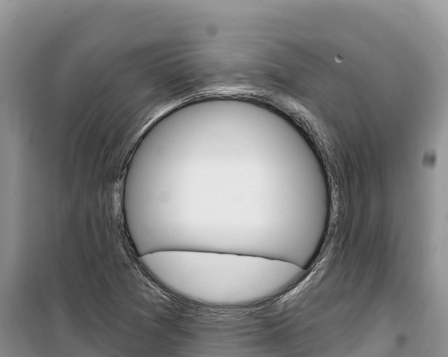 X0000100201361200805300738