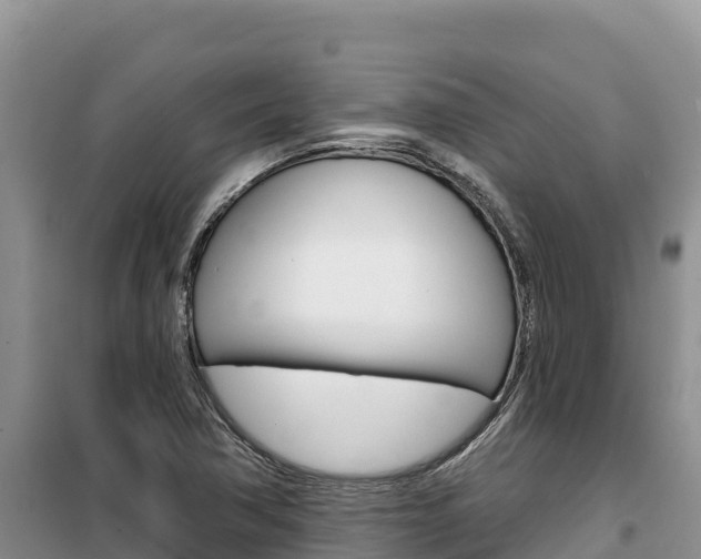 X0000100201362200805300738