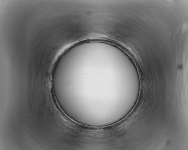 X0000100201363200805300738