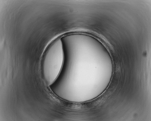 X0000100201364200805300738