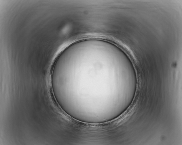 X0000100201365200805300738