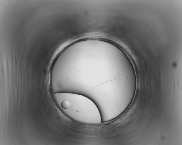 X0000100201366200805300738