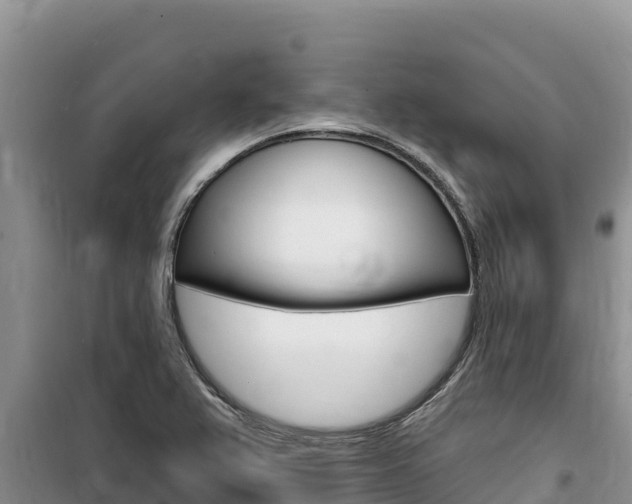 X0000100201367200805300738