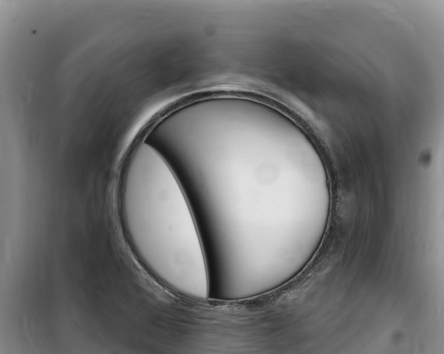 X0000100201368200805300738