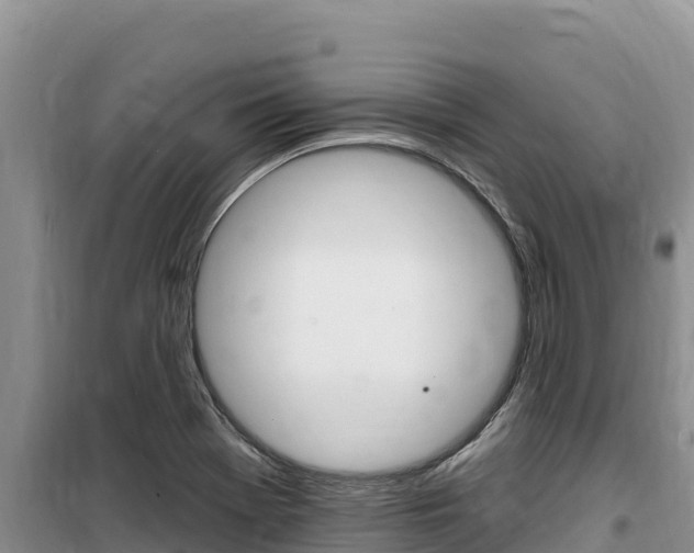 X0000100201369200805300738