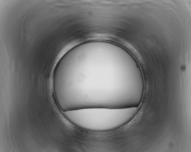 X0000100201370200805300738