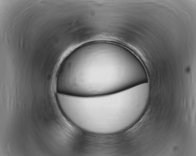 X0000100201371200805300738