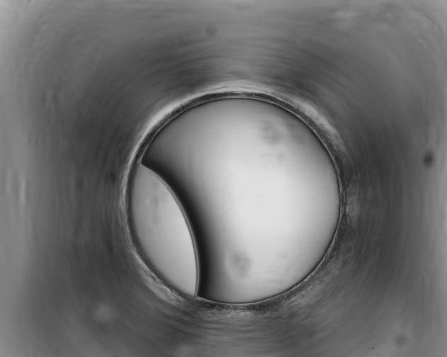 X0000100201372200805300738