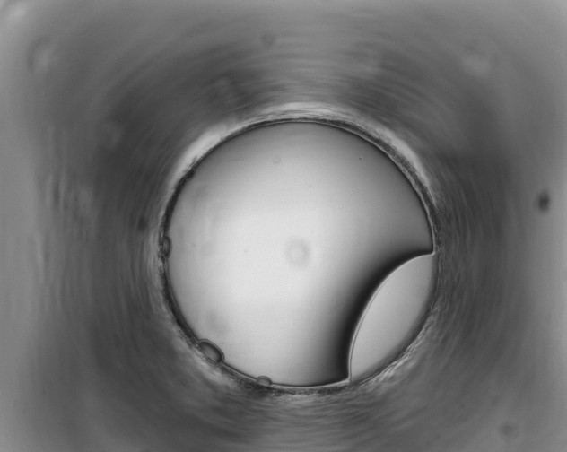 X0000100201373200805300738