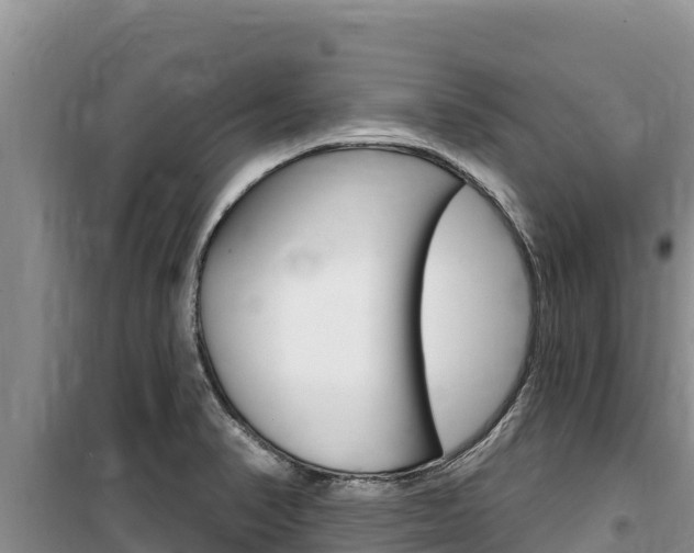 X0000100201374200805300738
