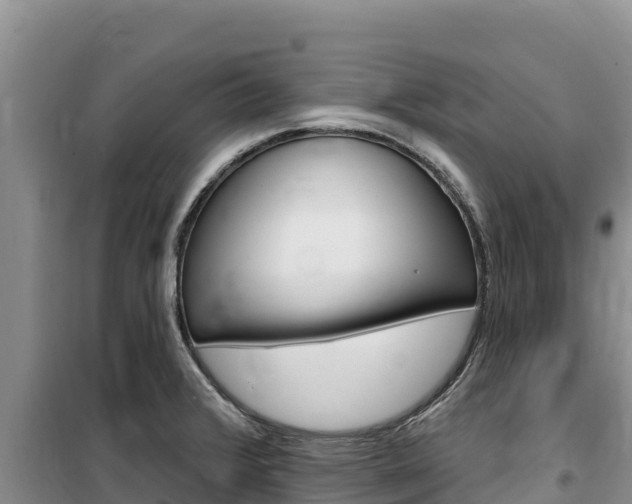 X0000100201376200805300737