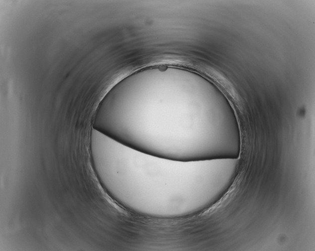 X0000100201377200805300737