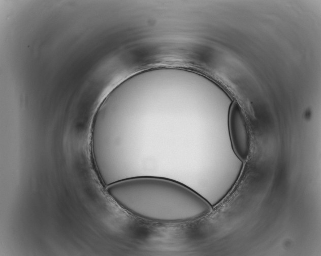 X0000100201378200805300737