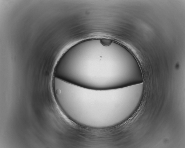 X0000100201379200805300737