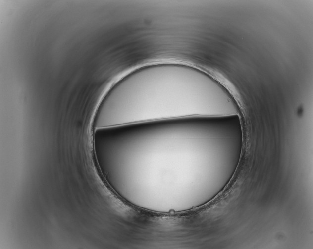 X0000100201380200805300737