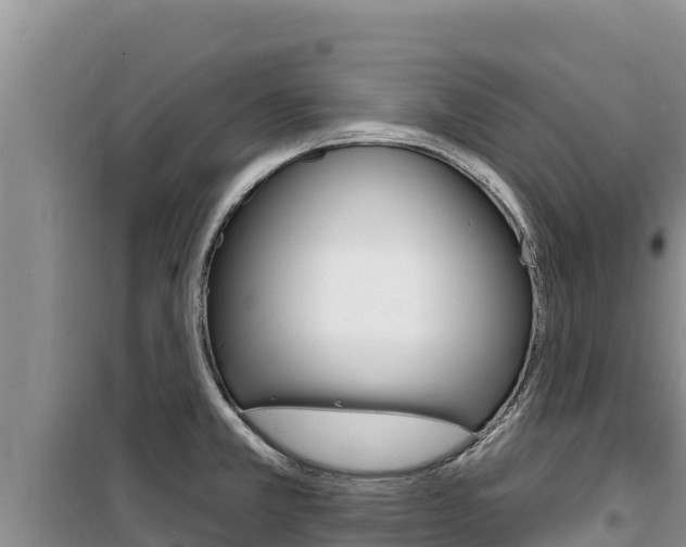 X0000100201381200805300737