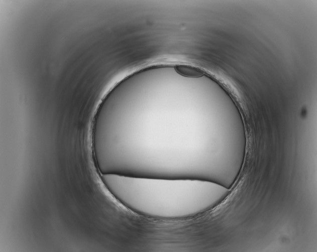 X0000100201382200805300737