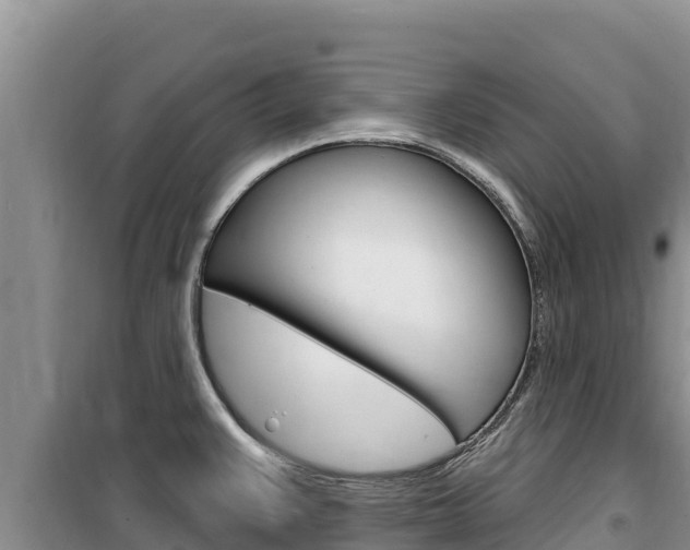 X0000100201383200805300737