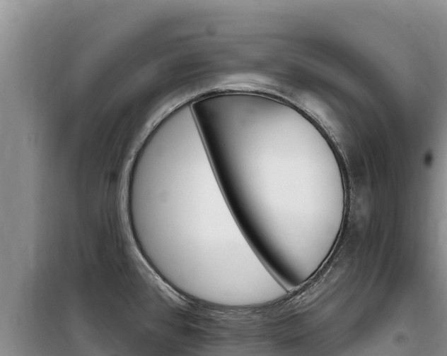 X0000100201384200805300737