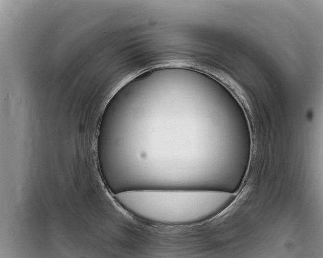 X0000100201385200805300737
