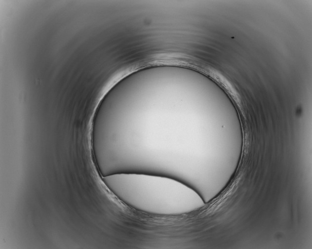 X0000100201386200805300737