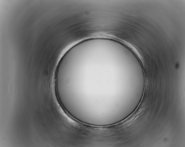 X0000100201387200805300737