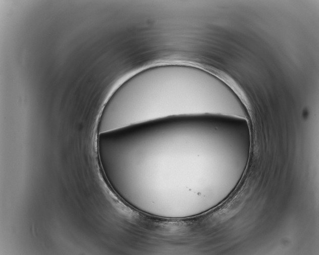 X0000100201388200805300737