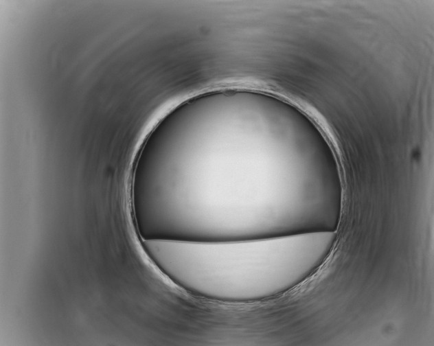 X0000100201389200805300737