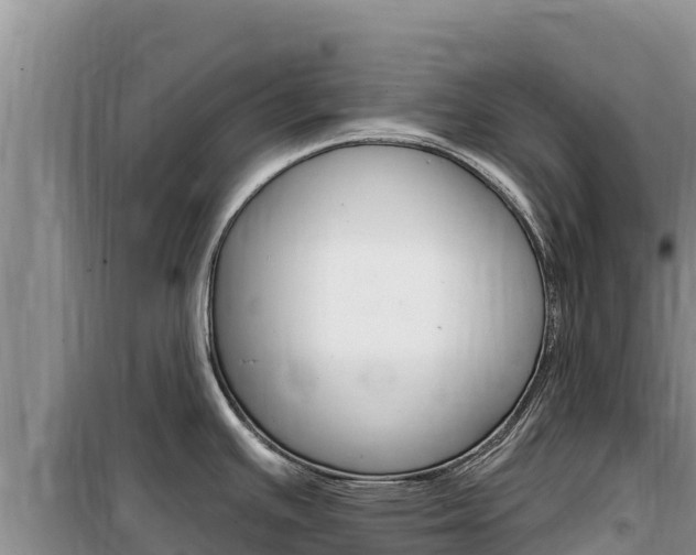 X0000100201391200805300737