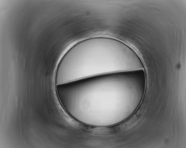 X0000100201392200805300737