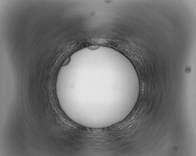 X0000100201393200805300737