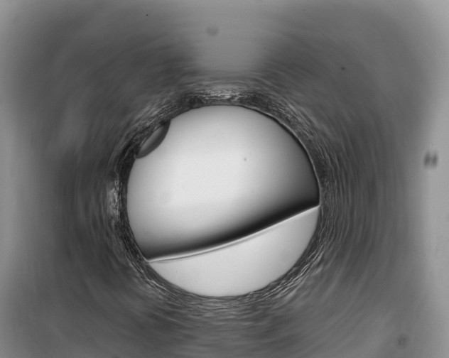 X0000100201394200805300737