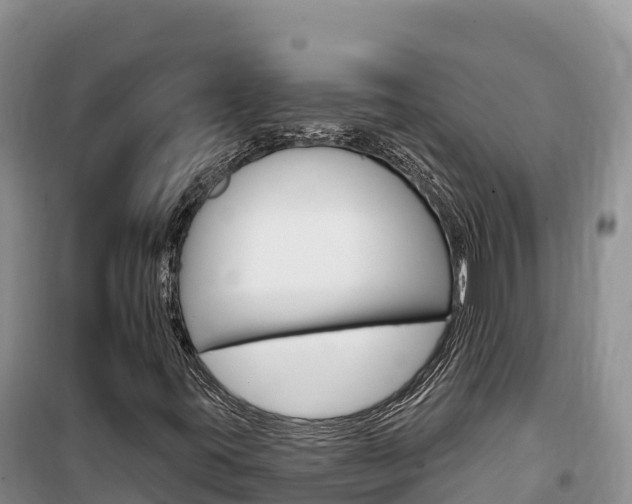 X0000100201395200805300737