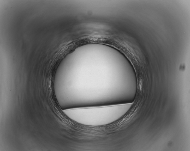 X0000100201396200805300737