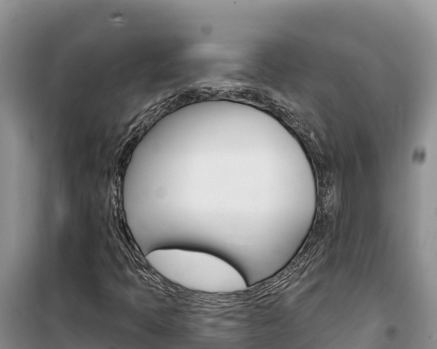 X0000100201397200805300737