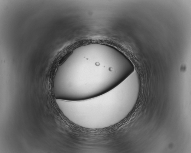 X0000100201398200805300737