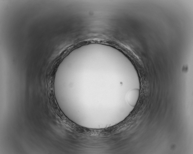 X0000100201399200805300737