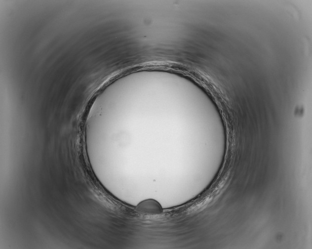 X0000100201401200805300737