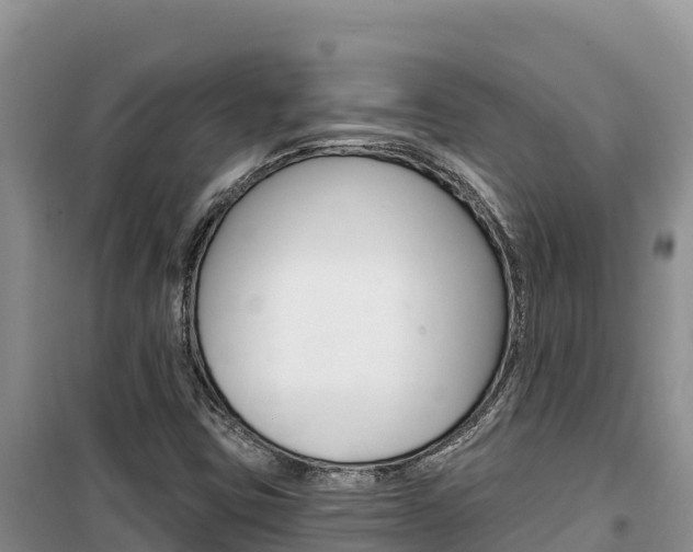 X0000100201403200805300737