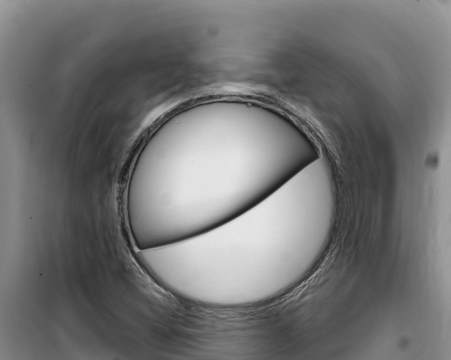 X0000100201404200805300737