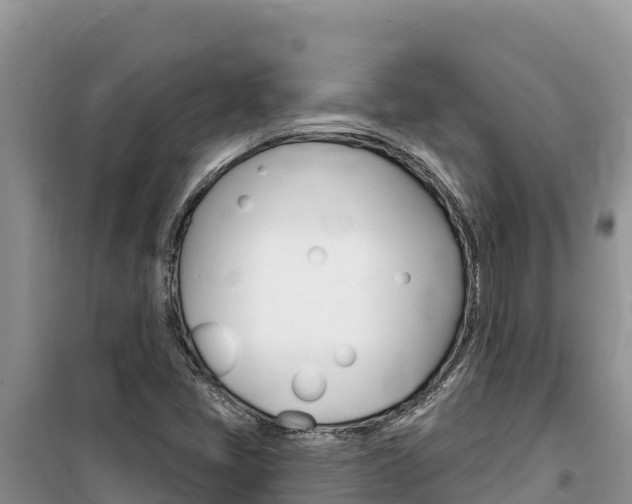 X0000100201405200805300737
