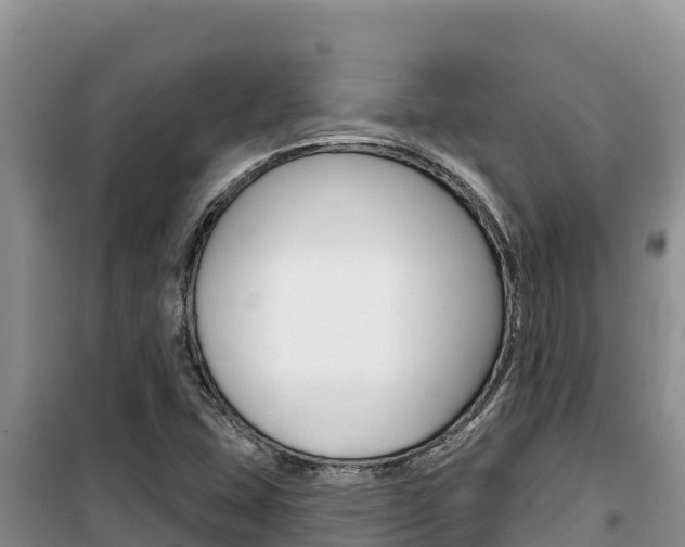 X0000100201407200805300737